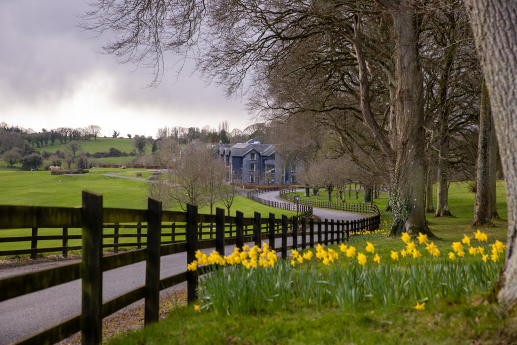 Things to do in Westmeath, Irelands Hidden Heartlands Glasson Lakehouse